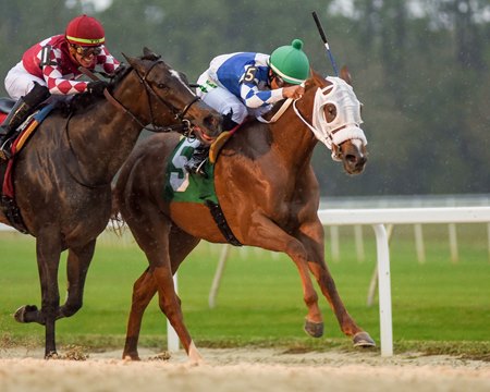 Dreaming of Snow (inside) wins the Suncoast Stakes at Tampa Bay Downs 