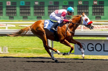 In Honor of Autism breaks his maiden in 2022 at Golden Gate Fields