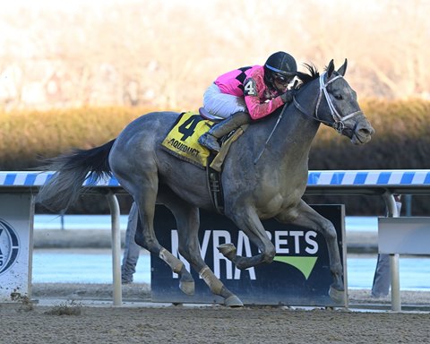 How the Preakness Stakes climbed out of the Derby's shadow