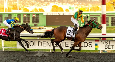 Chase the Chaos Impresses in El Camino Real Derby