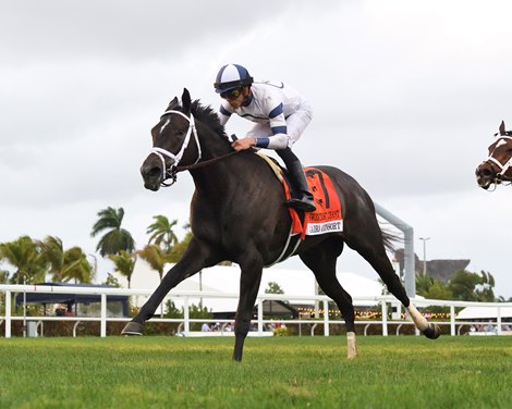 Cairo Consort Headlines F-T June Digital Sale - BloodHorse