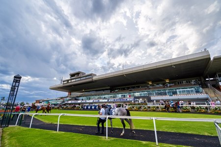 Morphettville Racecourse