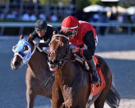 Candy Man Rocket Blasts Off in Gulfstream Park Sprint - BloodHorse