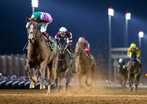 Elite Power Out to Prove He's Aptly Named in True North - Vimarsana News