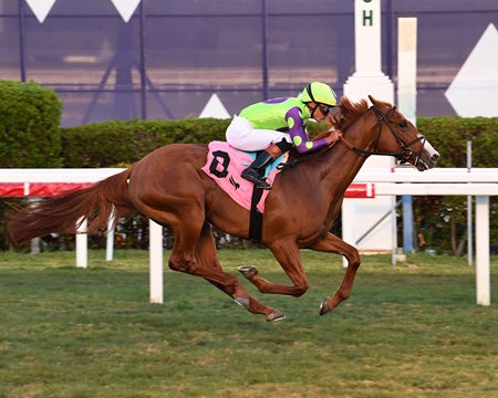 Carl Spackler breaks his maiden impressively at Gulfstream Park