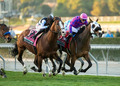 Earls Rock (IRE) - Horse Profile - BloodHorse