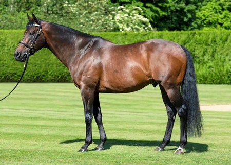 Kingman