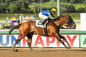 Hopkins wins the Palos Verdes Stakes at Santa Anita Park