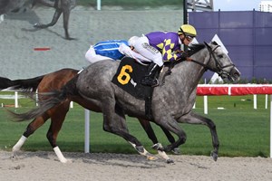 Silver Stripes pulls ahead to capture her debut at Gulfstream Park