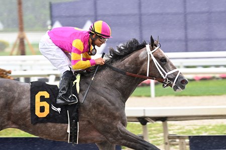 Charge It After Third Straight in Gulfstream Park Mile - TrueNicks.com