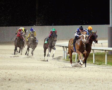 Delta Downs Kicks Off Thoroughbred Season Oct. 10