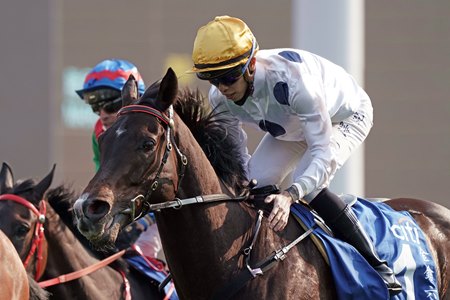 Golden Sixty Good as Gold in HK Gold Cup - BloodHorse