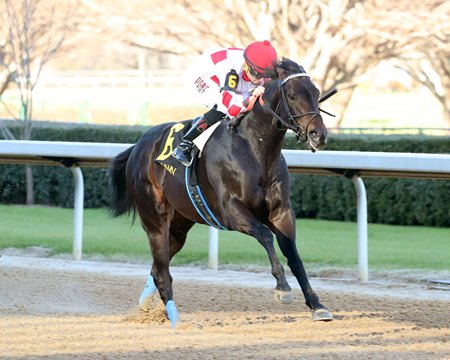 Edge to Edge captures a Feb. 17 allowance race at Oaklawn Park