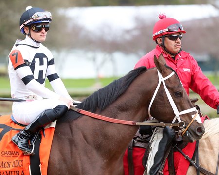 Cristian Torres aboard Last Samurai before the Razorback Handicap at Oaklawn Park