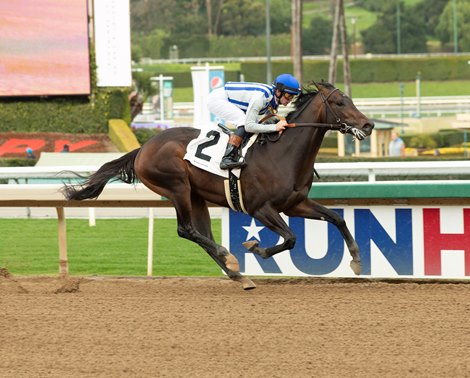 Geaux Rocket Ride Regroups for Affirmed - Vimarsana News
