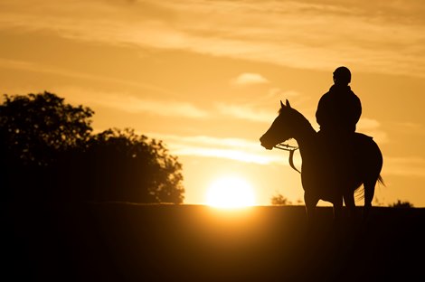 Judges Put HISA National Injunction Efforts on Hold - BloodHorse