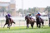 Order Of Australia (Ryan Moore) win the Irish Thoroughbred Marketing Cup, a local Group 2 at Al Rayyan racecourse, Doha
18.2.23 Pic: Edward Whitaker