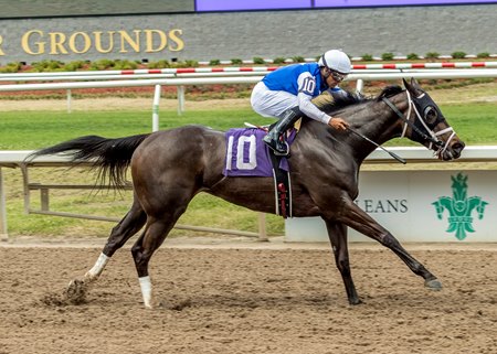 New Beat breaks her maiden at Fair Grounds Race Course
