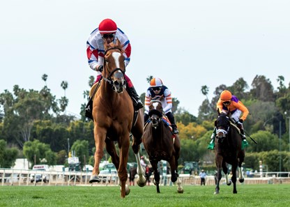 Princess Bettina - Horse Profile - BloodHorse