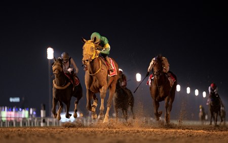 Ushba Tesoro wins the Dubai World Cup at Meydan Racecourse