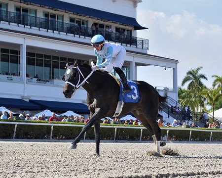 Super Chow wins the Hutcheson Stakes March 18 at Gulfstream Park