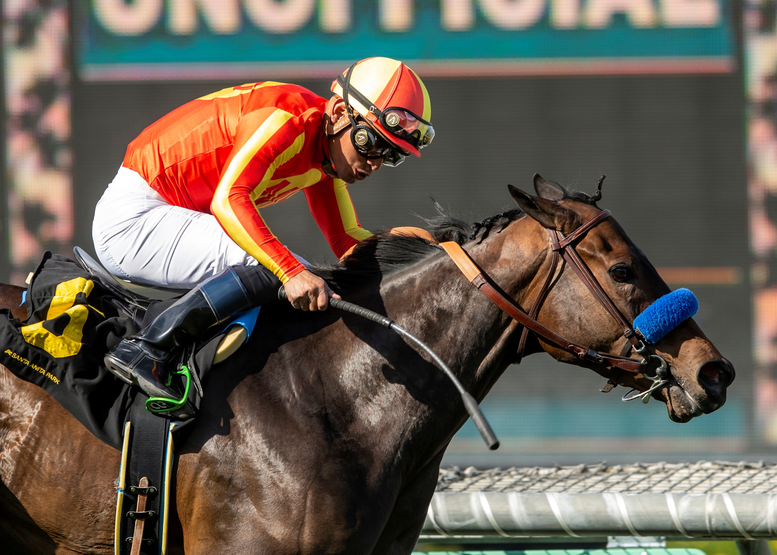 Winning Thoroughbred Strategies: Dick Mitchell