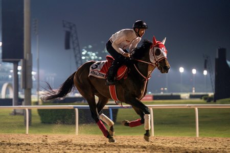Panthalassa, who hails from the family of Bourtai, is entered in the Dubai World Cup