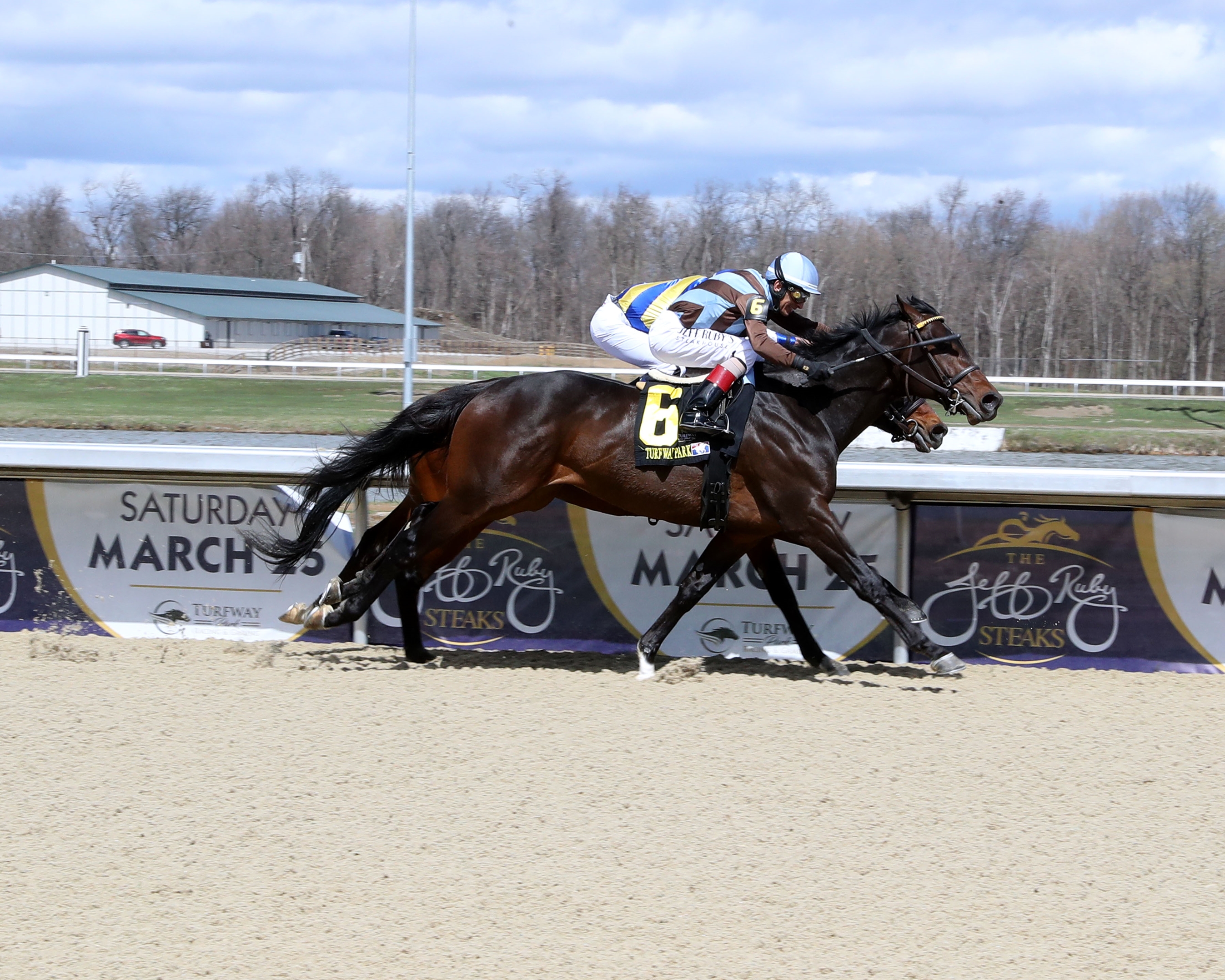 Wico IRE Horse Profile BloodHorse