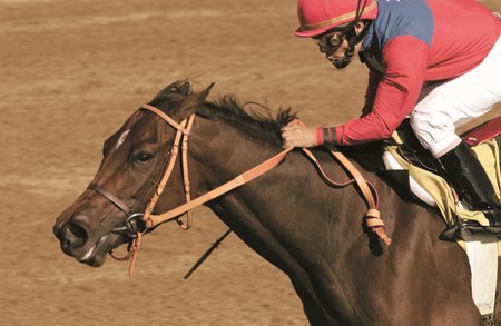 Xtra Heat wins the 2002 Phoenix Breeders' Cup at Keeneland