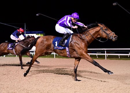Cairo wins the Patton Stakes at Dundalk Racecourse