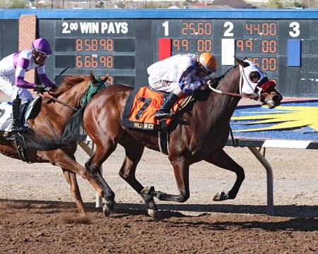 Wild On Ice prevails in the Sunland Park Derby at Sunland Park