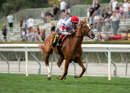 Princess Bettina - Horse Profile - BloodHorse