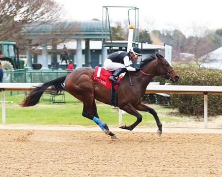 Two Eagles River wins an allowance optional claiming race Feb. 19 at Oaklawn Park