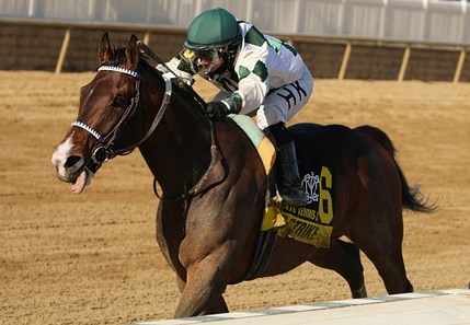 Hayes Strike - Horse Profile - BloodHorse