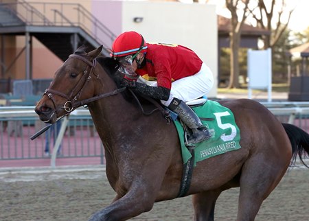 Tappin Josie wins the Society Hill Stakes at Parx Racing