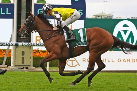 Prowess wins the Vinery Stud Stakes at Rosehill Gardens