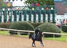 Reincarnate - Gallop - Oaklawn Park - 03-30-23