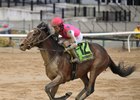 Raise Cain wins the 2023 Gotham Stakes at Aqueduct