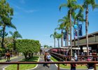 Scene, 2023 Magic Millions Gold Coast March Yearling Sale