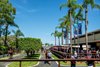 Scene, 2023 Magic Millions Gold Coast March Yearling Sale