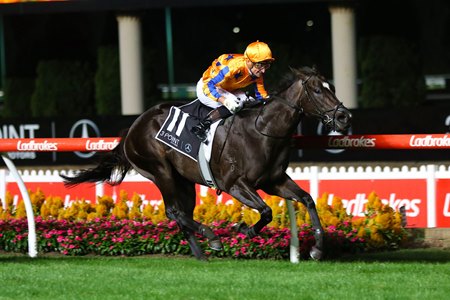 Imperatriz wins the William Reid Stakes at Moonee Valley Racecourse