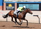 Crafty Money wins 2023 New Mexico Breeders&#39; Oaks at Sunland Park