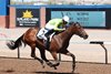 Crafty Money wins 2023 New Mexico Breeders&#39; Oaks at Sunland Park