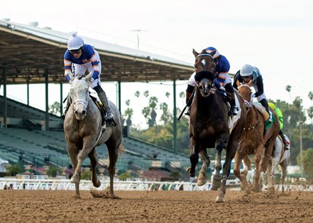 Grazen's stakes winners Alice Marble (L) and Rose Maddox finish 1-2 in the Irish O'Brien Stakes March 17 at Santa Anita Park