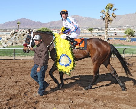 Wild On Ice after his upset in the Sunland Park Derby at Sunland Park