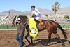 Wild On Ice wins 2023 Sunland Park Derby at Sunland Park