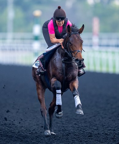 Westover Choice in Coronation Cup Off Second to Equinox - Vimarsana News