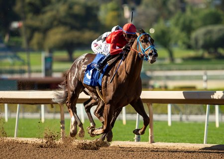 Dance to the Music takes command in the stretch of the Desert Stormer Stakes at Santa Anita Park