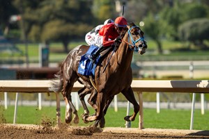 Dance to the Music takes command in the stretch of the Desert Stormer Stakes at Santa Anita Park