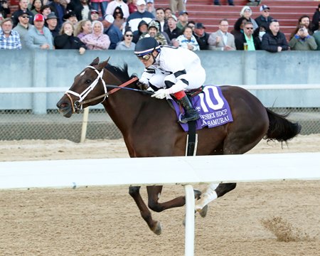 Last Samurai wins the 2023 Essex Handicap at Oaklawn Park